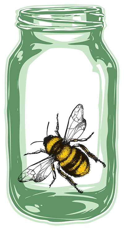 Bee in Jar.png