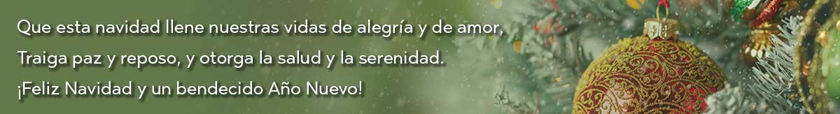 Christmas Appeal - Photo of Christmas Ornament