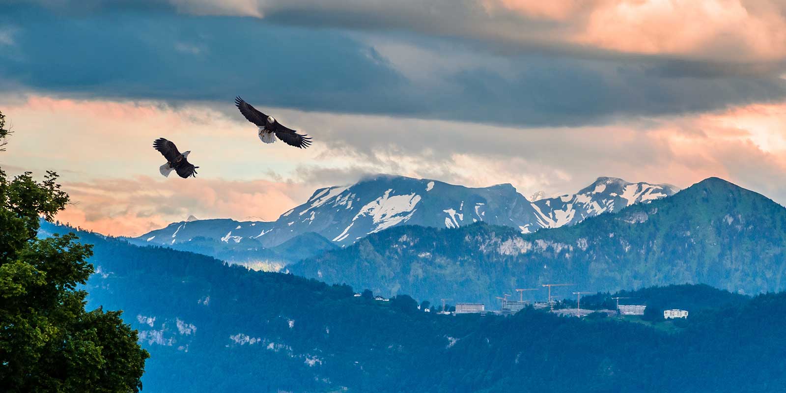 Two eagles flying high over a mountain range