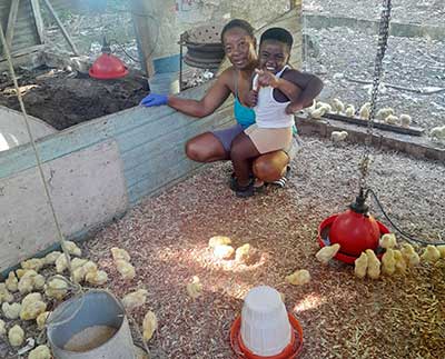 USE-Family-Chickens.jpg