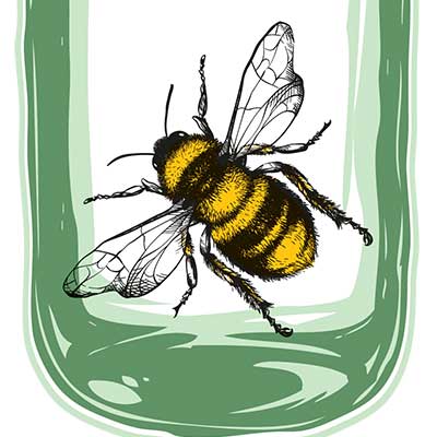 Bee-in-Jar.jpg