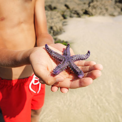 Boy-Holding-Starfish.jpg