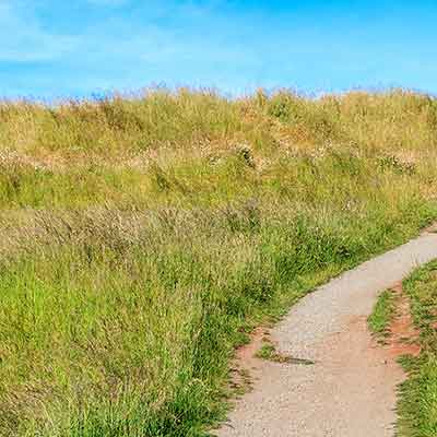 The-Roadless-Path_SM.jpg