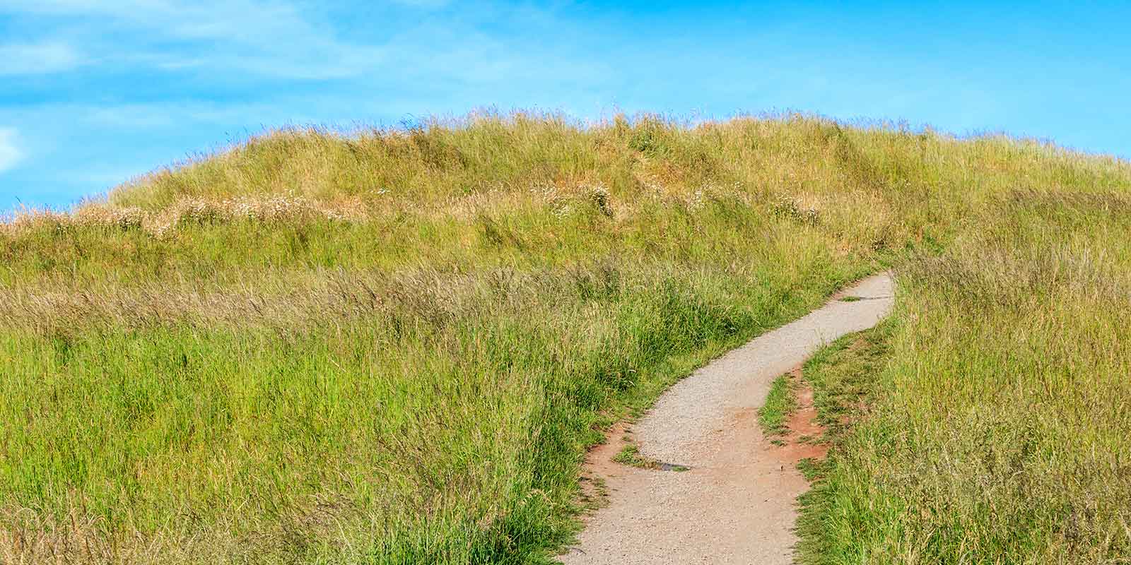 A green pasture with a small walking path through it and a blue sky in the horizon.