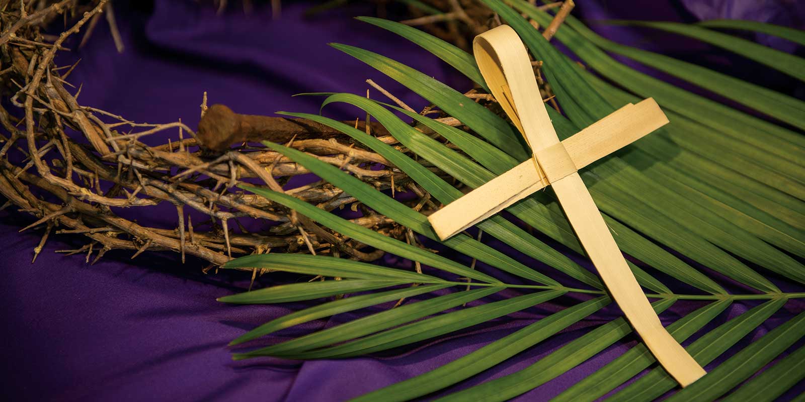 Crown of thorns, green palms leaves, and a cross made of a palm leaf sitting on a purple cloth.