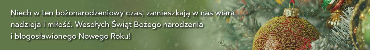 Christmas Appeal Photo of Christmas Ornament