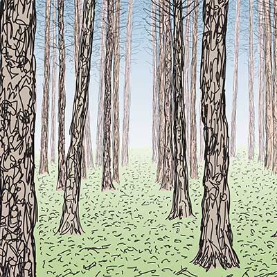 Woods-SM.jpg