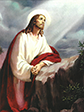 card-jesus-garden-two-thumbnail.png